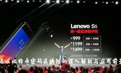 自以比特币密码区块链的深入解析与应用前景