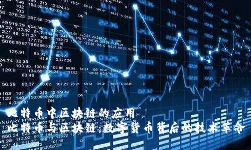 比特币中区块链的应用
比特币与区块链：数字货币背后的技术革命